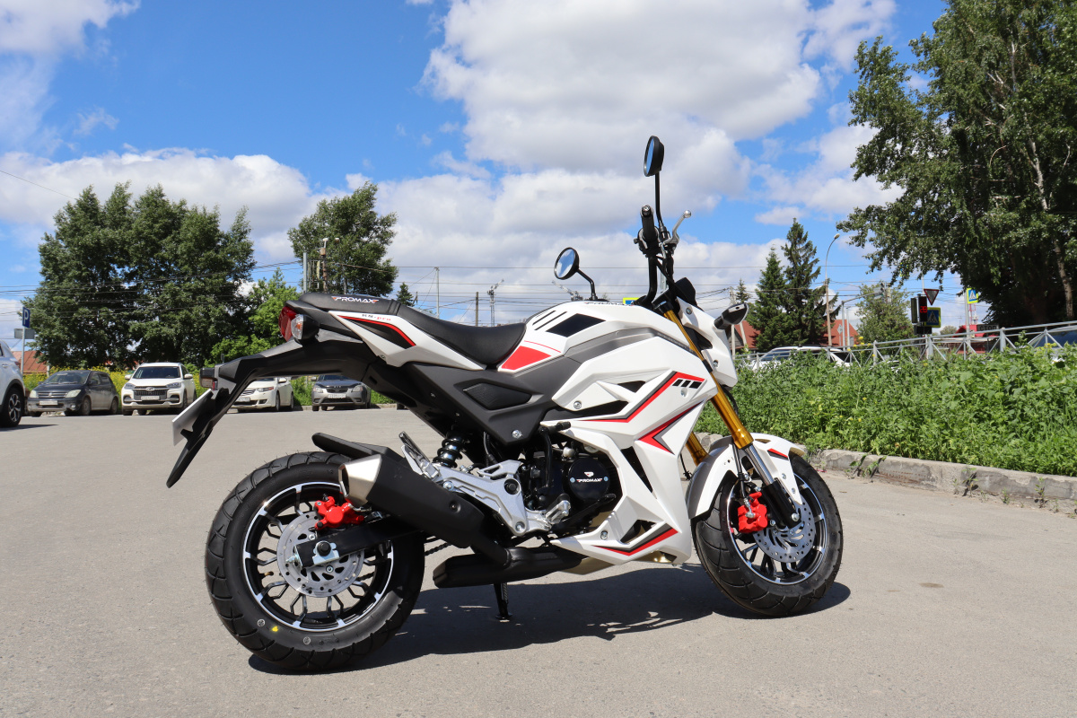 Мотоцикл PROMAX STRYKER 200(49) 2.0 в Санкт-Петербурге