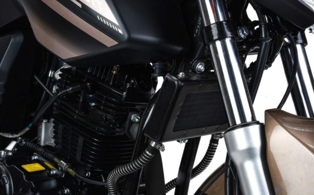 Мотоцикл MOTOLAND (МОТОЛЕНД) 300 BANDIT в Санкт-Петербурге