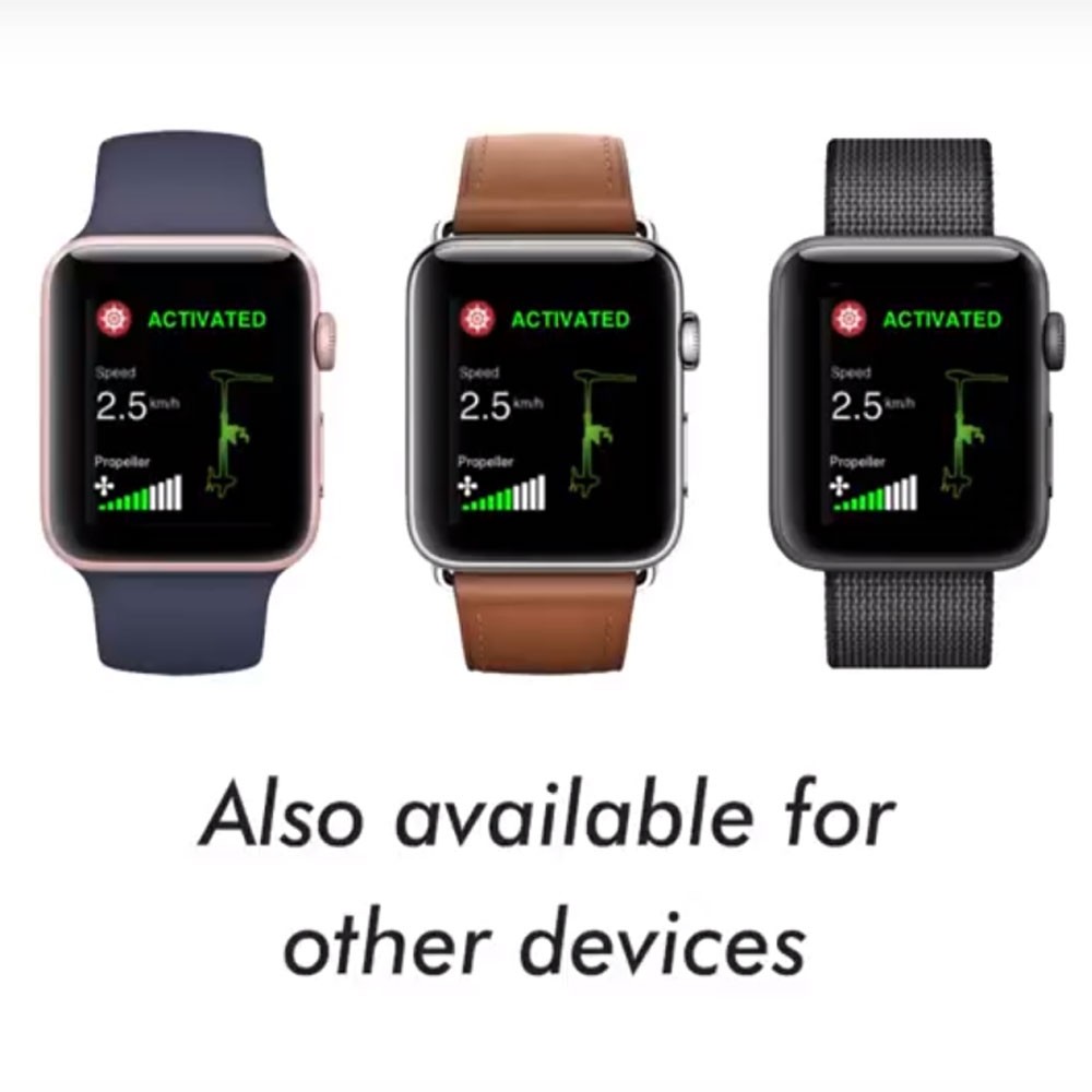 Лодочный электромотор якорь Haswing Cayman B, GPS, 12V, 55Lbs, нога 137 мм в Санкт-Петербурге