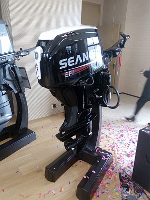Лодочный мотор SEANOVO SN75FHL-D в Санкт-Петербурге