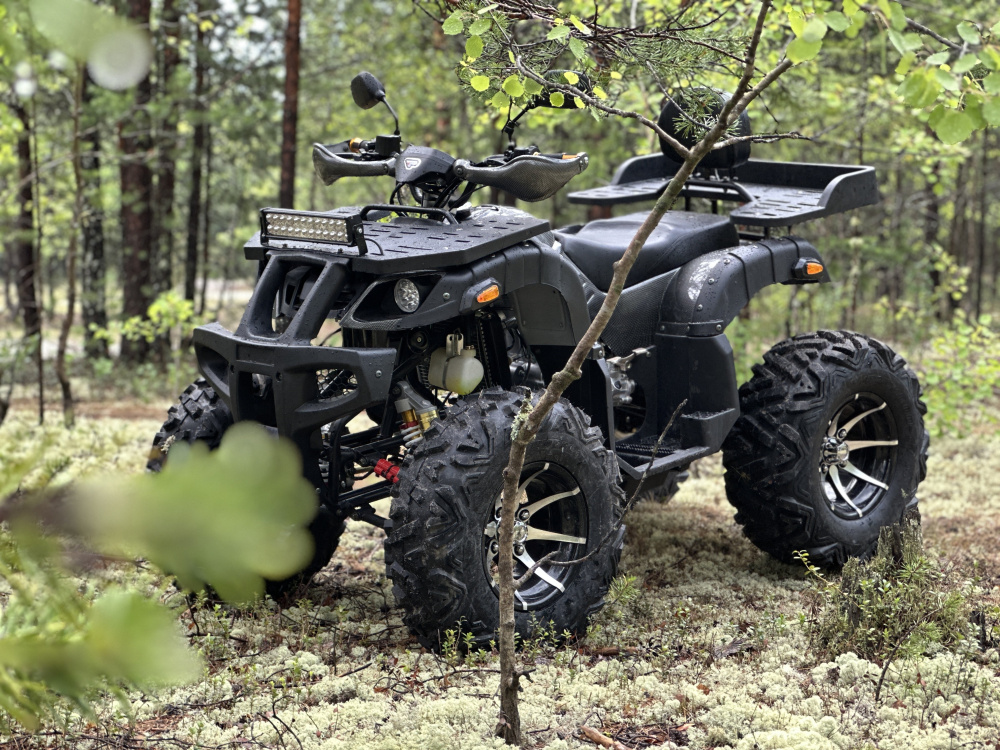 Квадроцикл PROMAX 320 DOMINATOR (2025) в Санкт-Петербурге