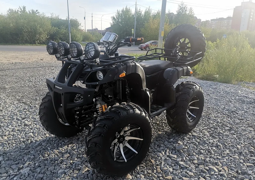 Квадроцикл PROMAX LEO 300 Max (кардан) в Санкт-Петербурге