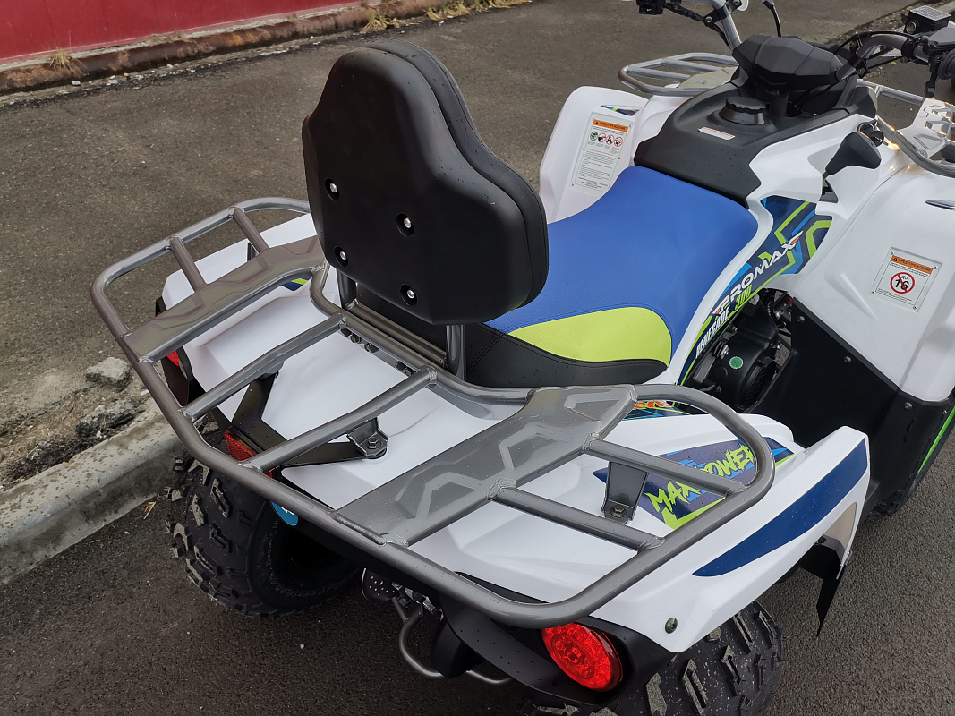 Квадроцикл PROMAX RENEGADE 280 LUX (2025) в Санкт-Петербурге