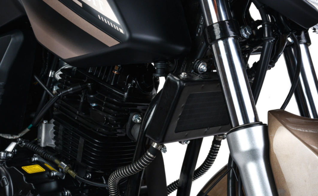 Мотоцикл MOTOLAND (МОТОЛЕНД) 300 BANDIT в Санкт-Петербурге