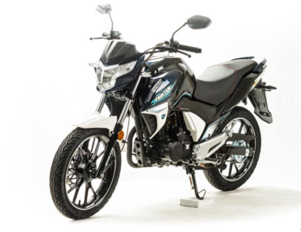 Мотоцикл MOTOLAND (МОТОЛЕНД) FIGHTER 250 в Санкт-Петербурге