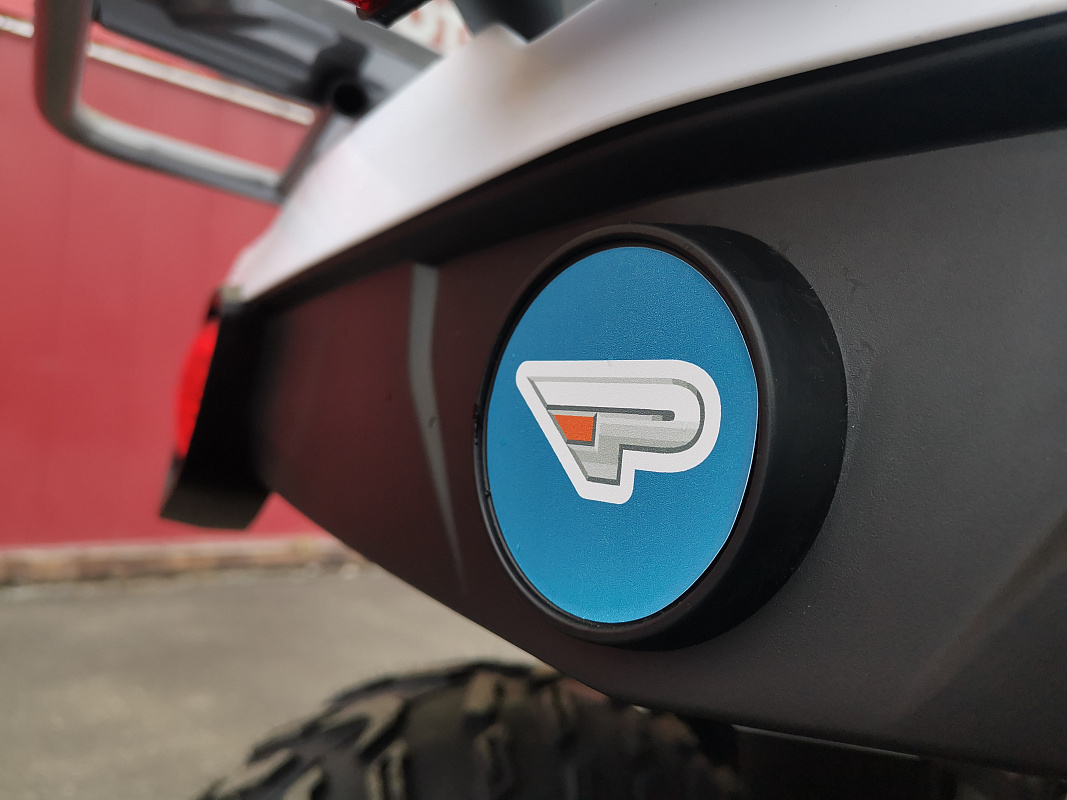 Квадроцикл PROMAX RENEGADE 280 LUX (2025) в Санкт-Петербурге