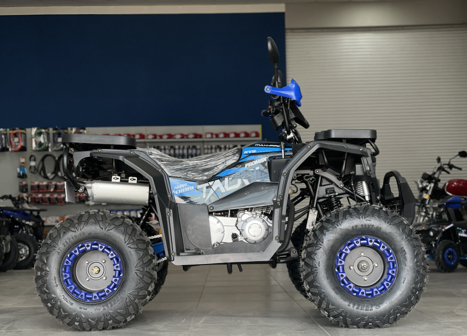 Квадроцикл PROMAX TAURUS 300 в Санкт-Петербурге