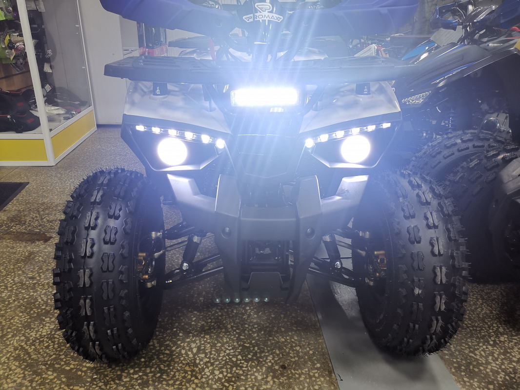 Квадроцикл PROMAX WILD 175 LUX в Санкт-Петербурге