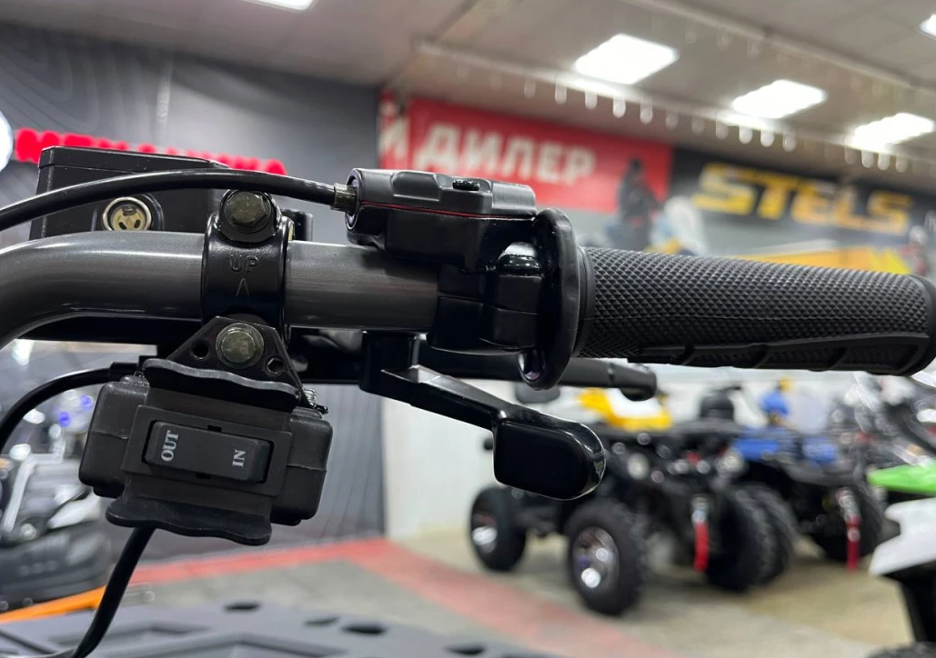 Квадроцикл PROMAX RENEGADE 300 LONG WINCH PRO (2025) в Санкт-Петербурге