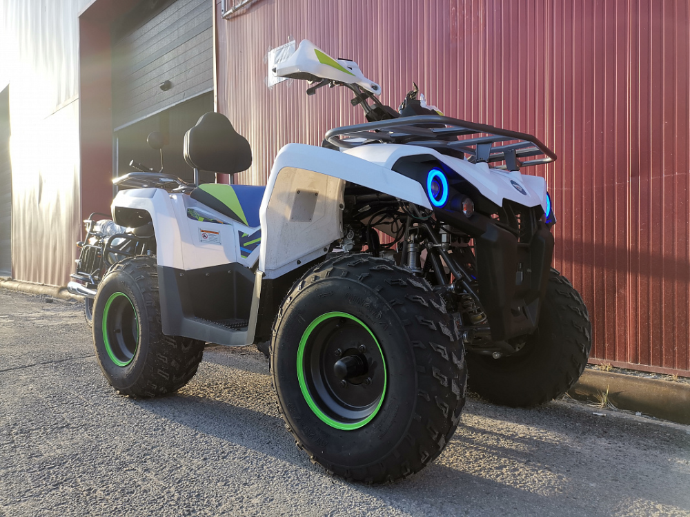 Квадроцикл PROMAX RENEGADE 280 LUX (2025) в Санкт-Петербурге