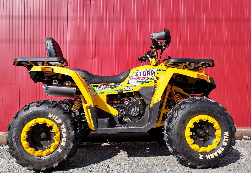 Квадроцикл PROMAX STORM 280 LUX в Санкт-Петербурге