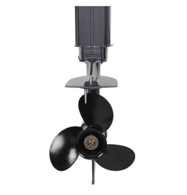 Лодочный мотор ALLFA CG Т40FW S в Санкт-Петербурге