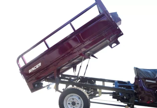 Трицикл RACER RC200ZH MURAVEI в Санкт-Петербурге