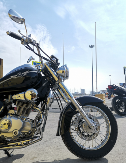 Мотоцикл MOTOLAND (МОТОЛЕНД) WOLF 250 в Санкт-Петербурге