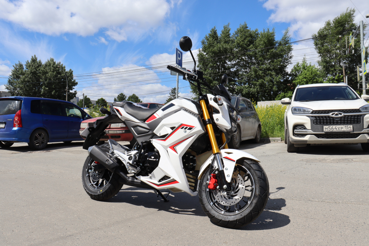 Мотоцикл PROMAX STRYKER 200(49) 2.0 в Санкт-Петербурге