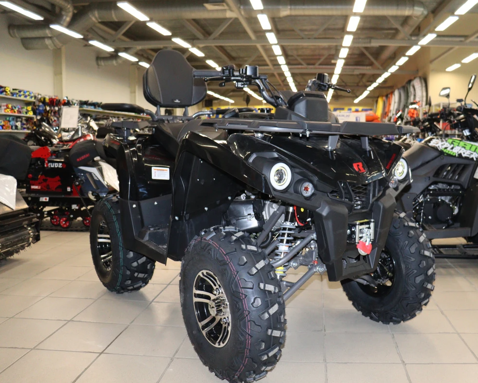 Квадроцикл PROMAX RENEGADE 300 LONG WINCH PRO (2025) в Санкт-Петербурге
