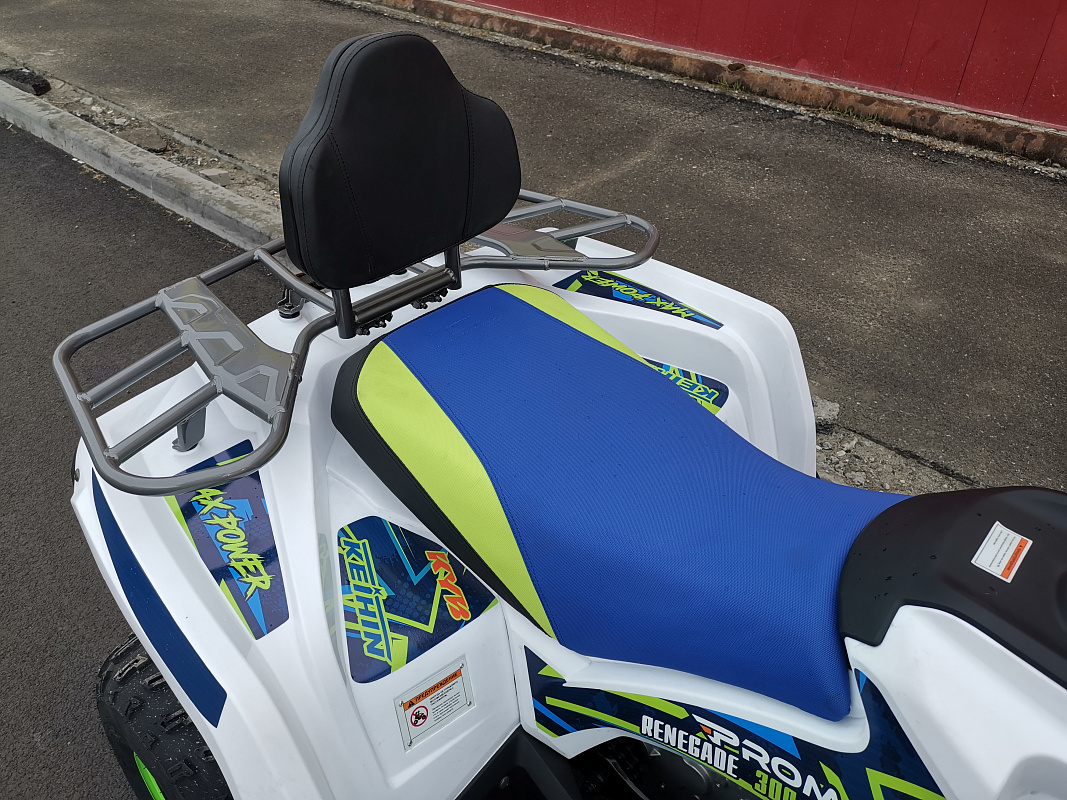 Квадроцикл PROMAX RENEGADE 280 LUX (2025) в Санкт-Петербурге