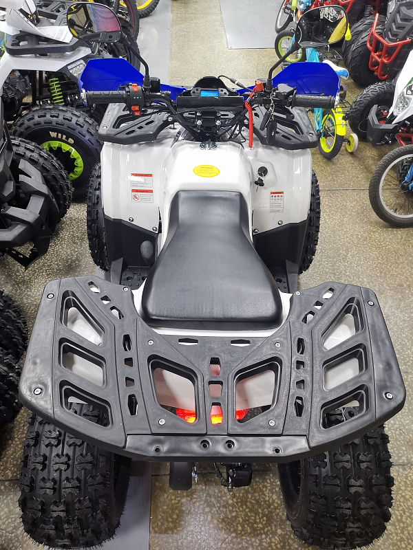 Квадроцикл PROMAX WILD 175 LUX в Санкт-Петербурге