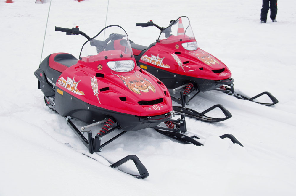 Снегоход РМ ТАЙГА РЫСЬ в Санкт-Петербурге