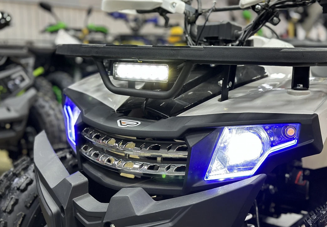 Квадроцикл PROMAX WILD 2.0 190 в Санкт-Петербурге