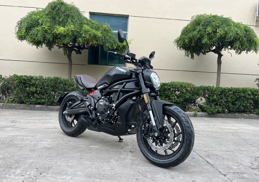 Мотоцикл TMBK Diablo 650cc EFI, ABS в Санкт-Петербурге