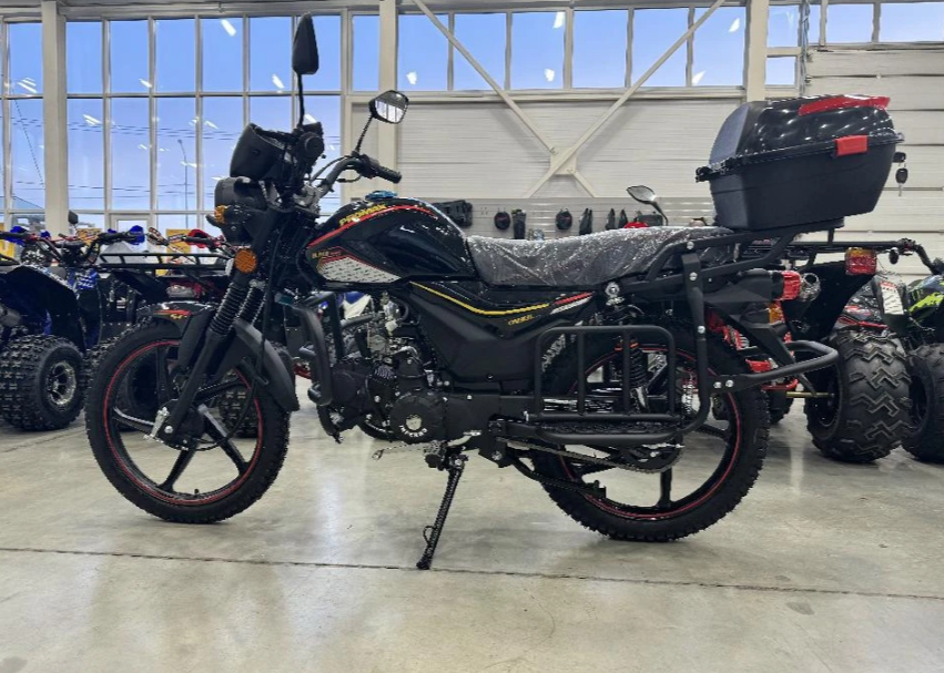 Мопед PROMAX ALPHA TOURIST 150(49) LUX в Санкт-Петербурге