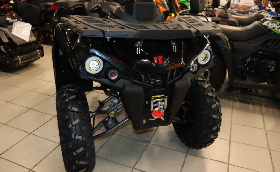 Квадроцикл PROMAX RENEGADE 300 LONG WINCH PRO (2025) в Санкт-Петербурге