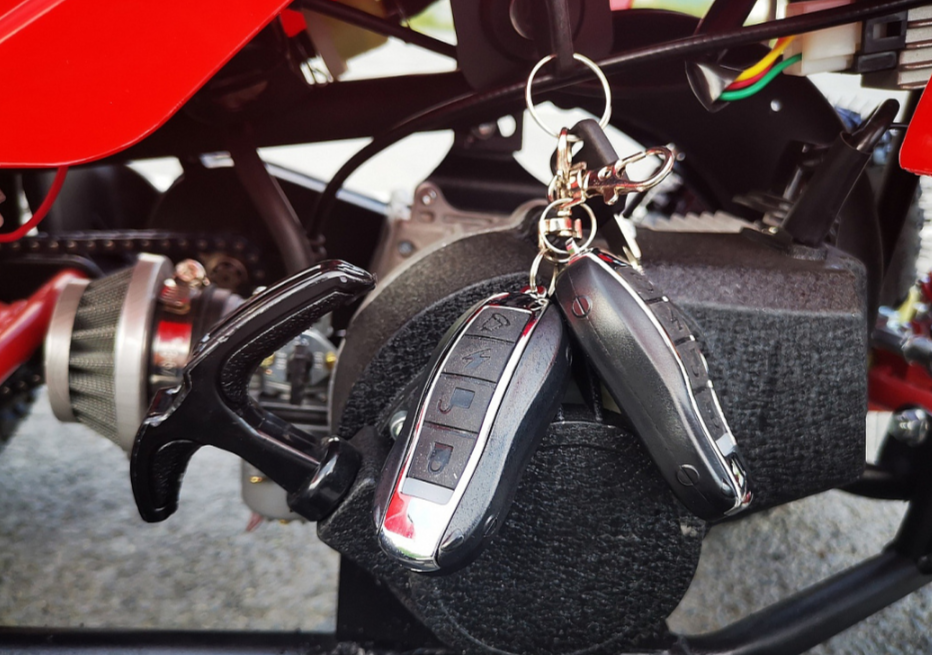 Квадроцикл PROMAX ATV MINI 2T 70CC р/с в Санкт-Петербурге