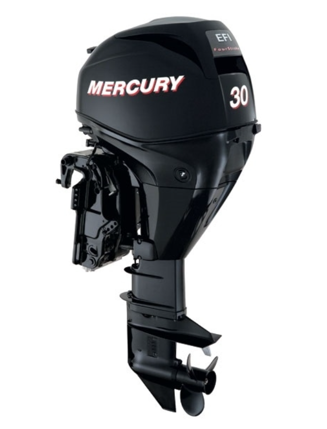 ЛОДОЧНЫЙ МОТОР MERCURY  F 30 ELH GA EFI в Санкт-Петербурге