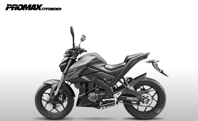 Мотоцикл PROMAX MT300 в Санкт-Петербурге