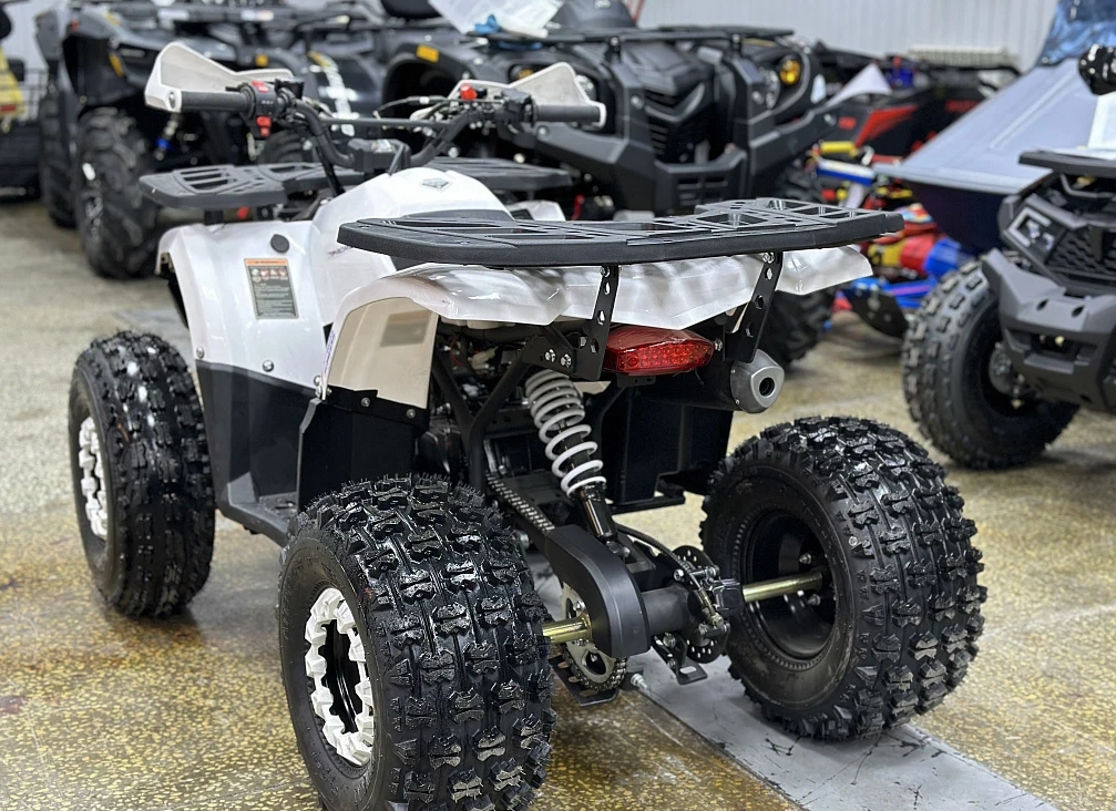 Квадроцикл PROMAX WILD 2.0 190 в Санкт-Петербурге