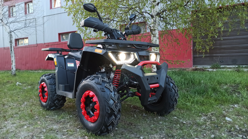 Квадроцикл PROMAX WILD 300 LUX (2024) в Санкт-Петербурге