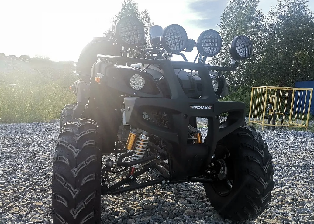 Квадроцикл PROMAX LEO 300 Max (кардан) в Санкт-Петербурге