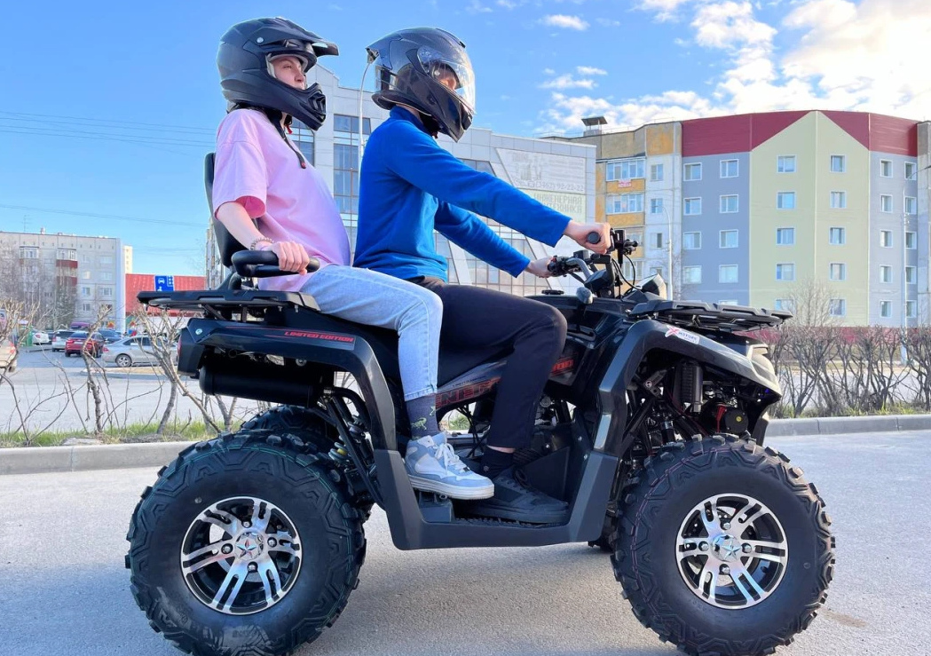 Квадроцикл PROMAX RENEGADE 300 LONG WINCH PRO (2025) в Санкт-Петербурге