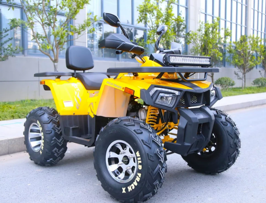 Квадроцикл MOTOLAND (МОТОЛЕНД) VOX200 WILD TRACK X PRO (баланс. вал) в Санкт-Петербурге