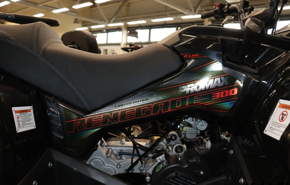 Квадроцикл PROMAX RENEGADE 300 LONG WINCH PRO (2025) в Санкт-Петербурге