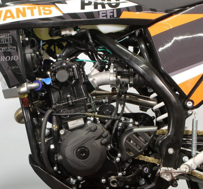 Мотоцикл Avantis Enduro 300 PRO EFI Exclusive (NC250/177MM) ARS в Санкт-Петербурге