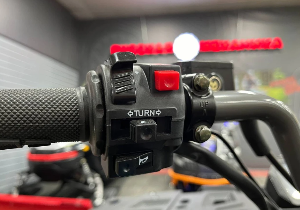 Квадроцикл PROMAX RENEGADE 300 LONG WINCH PRO (2025) в Санкт-Петербурге