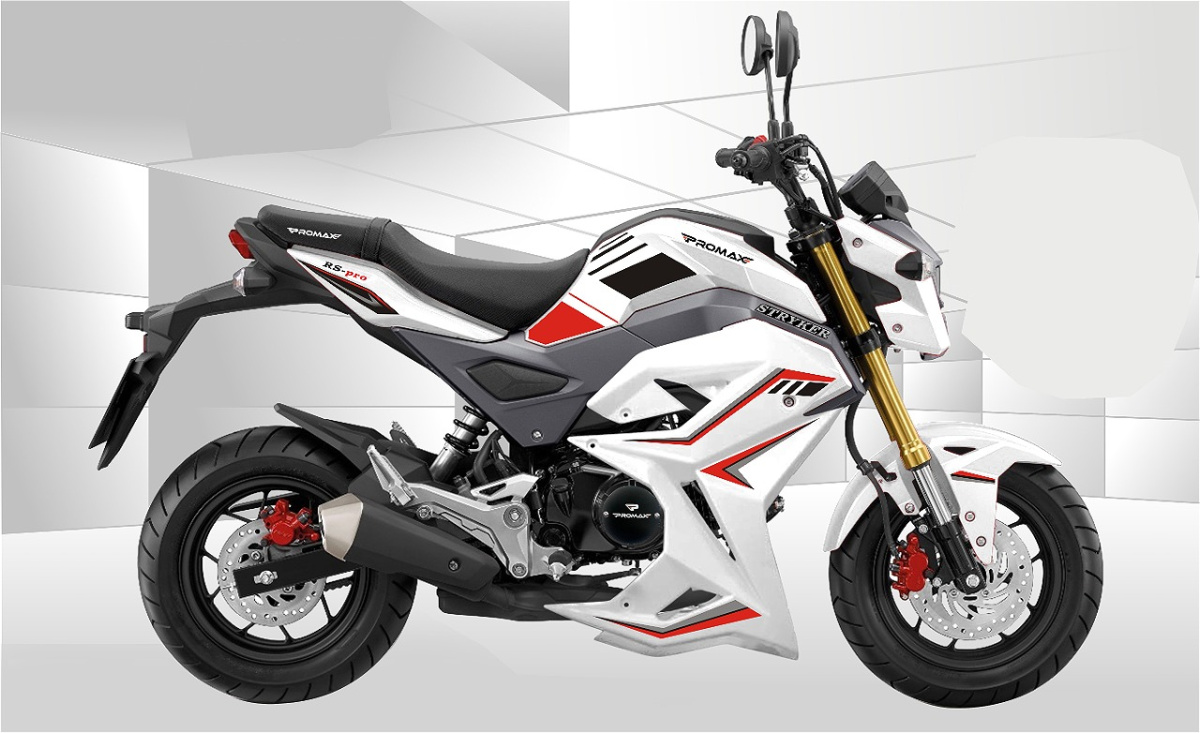 Мотоцикл PROMAX STRYKER 200(49) 2.0 в Санкт-Петербурге