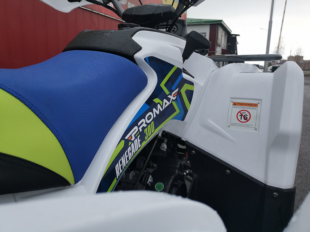 Квадроцикл PROMAX RENEGADE 280 LUX (2025) в Санкт-Петербурге
