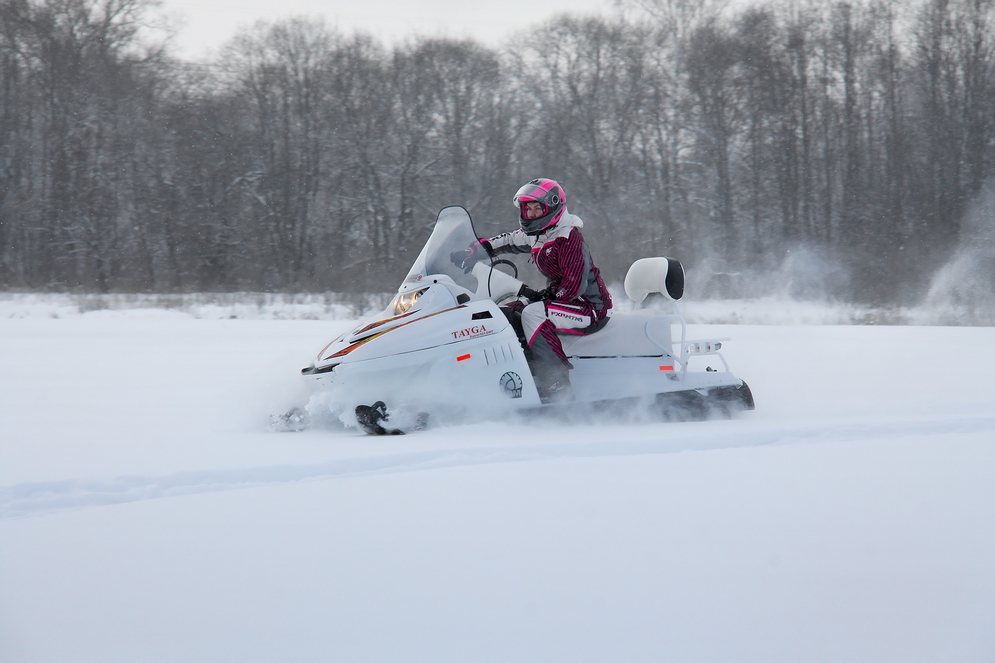 СНЕГОХОД РМ ТАЙГА ПАТРУЛЬ 551 SWT в Санкт-Петербурге