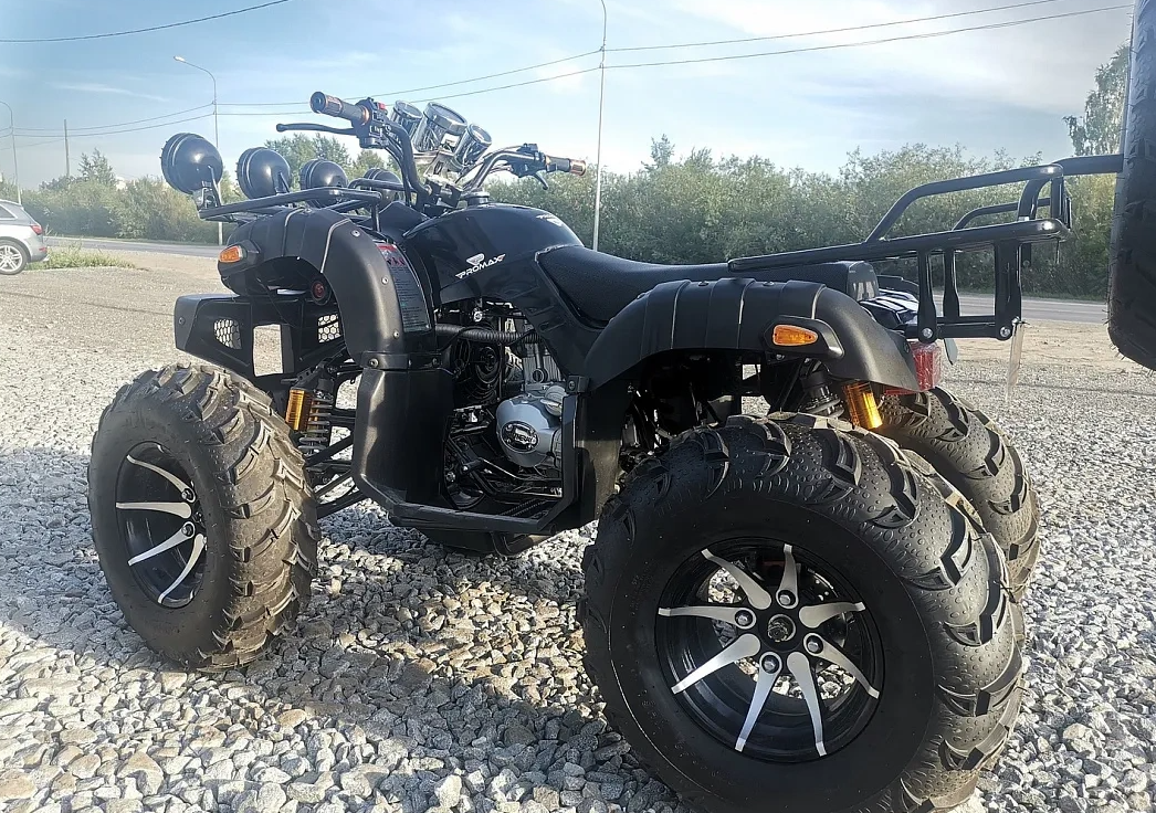 Квадроцикл PROMAX LEO 300 Max (кардан) в Санкт-Петербурге