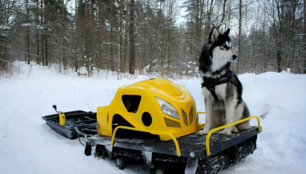 Мотобуксировщик LEBEDEV MOTORS ВОЛКОДАВ POWER V13 в Санкт-Петербурге