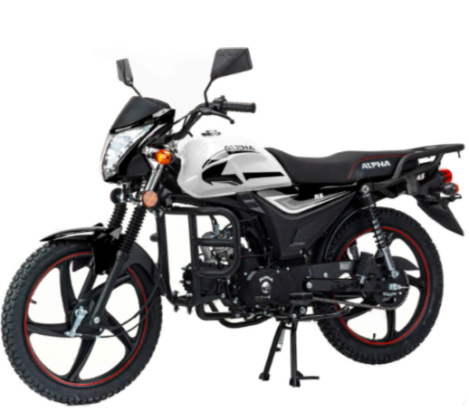 Мопед MOTOLAND (МОТОЛЕНД) Альфа RS 11 (LM48-B) в Санкт-Петербурге