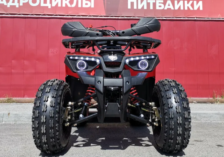 Квадроцикл PROMAX WILD 175 BASIC в Санкт-Петербурге