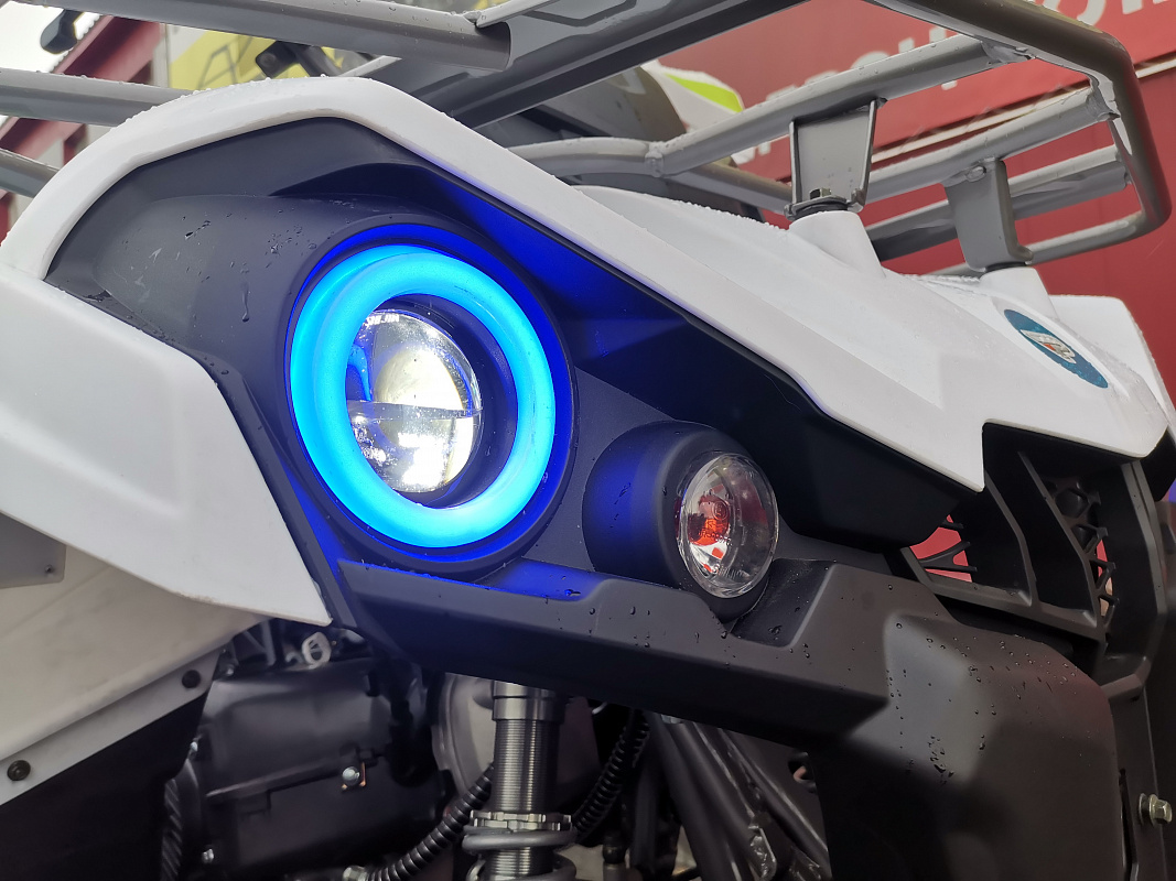 Квадроцикл PROMAX RENEGADE 280 LUX (2025) в Санкт-Петербурге