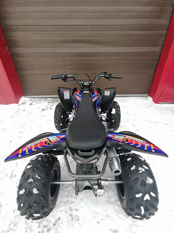 Квадроцикл PROMAX RAPTOR 300 NEW RedBull в Санкт-Петербурге