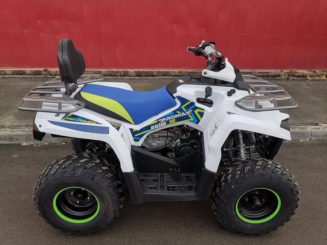 Квадроцикл PROMAX RENEGADE 280 LUX (2025) в Санкт-Петербурге