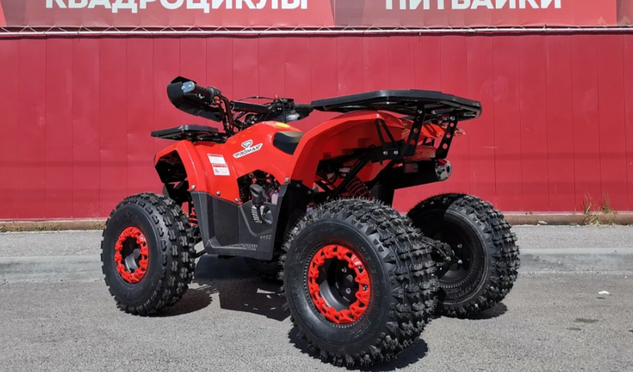 Квадроцикл PROMAX WILD 175 BASIC в Санкт-Петербурге