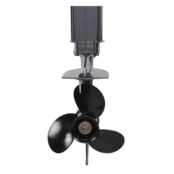 Лодочный мотор ALLFA CG T9.9(20) MAX Limit в Санкт-Петербурге